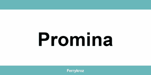 Jadrolinija Promina i vozni red plovidbe